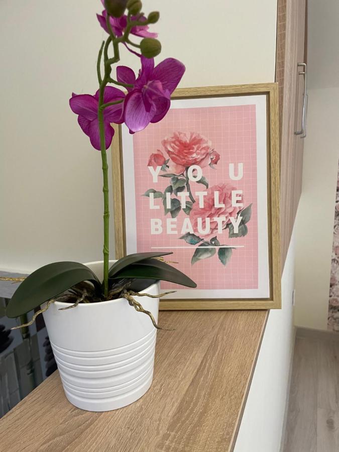 Zen Apartman Eger Kültér fotó